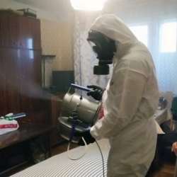 Дезинфекция от клопов в Дрезне