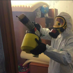 Уничтожение клопов в квартире. Дрезна